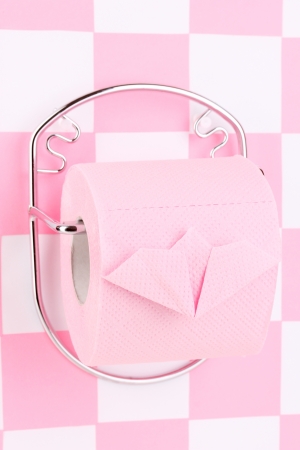 Roll of toilet paper on  holder fixed to wall in bathroomの写真素材