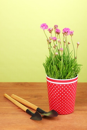 Pink flowers in pot with instruments on wooden table on green backgroundの写真素材