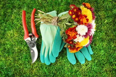 Secateurs with flowers on green grass backgroundの写真素材