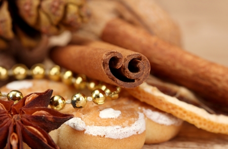 beautiful christmas background with spicesの写真素材