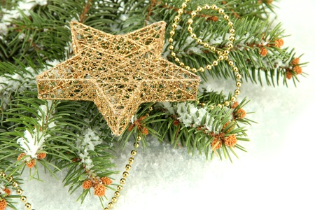 Christmas star on fir tree with snow, isolated on whiteの写真素材