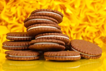 Chocolate cookies with creamy layer on yellow decorative background