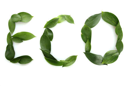 inscription ECO of beautiful green leaves, isolated on whiteの写真素材