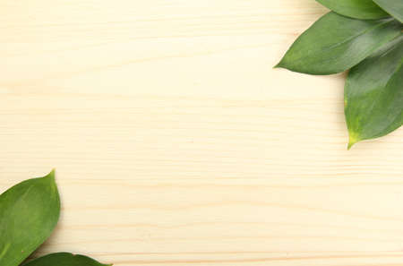 beautiful green leaves, on wooden backgroundの写真素材