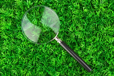magnifying glass on green grassの写真素材