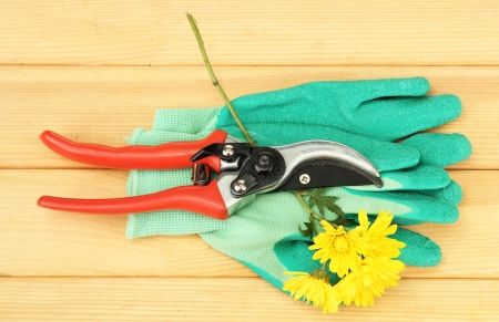 Secateurs with flower on wooden backgroundの写真素材