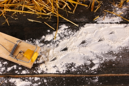 Mousetrap with a piece of cheese in barn on wooden backgroundの写真素材