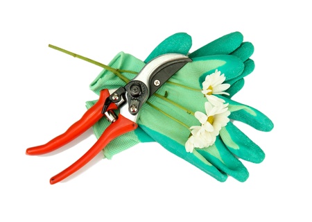 Secateurs with flower isolated on whiteの写真素材