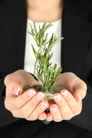Woman hands with green plant and coins, close up
の写真素材