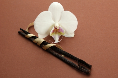 Vanilla pods with flower, on brown background
