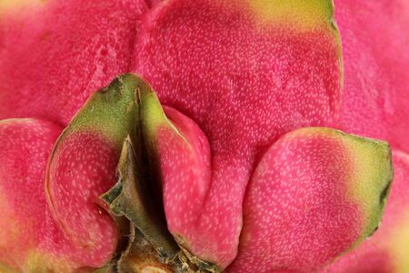 Ripe pitahaya close-up backgroundの写真素材