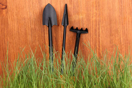 Green grass and garden tools on wooden background