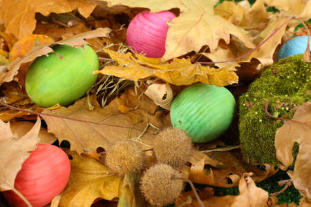 Easter eggs hidden in leaves