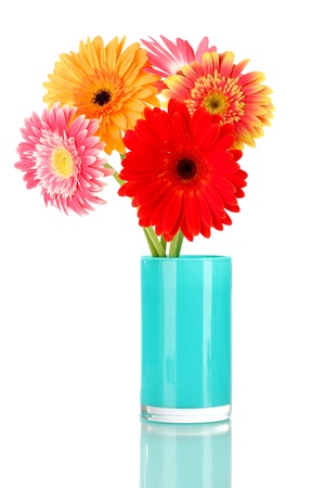 Beautiful Gerber flowers isolated on whiteの写真素材
