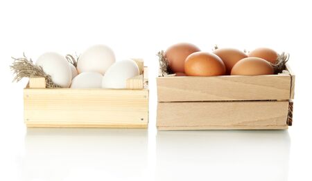 Many eggs in boxes isolated on whiteの写真素材