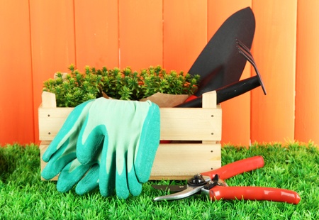 Garden tools on grass in yardの写真素材