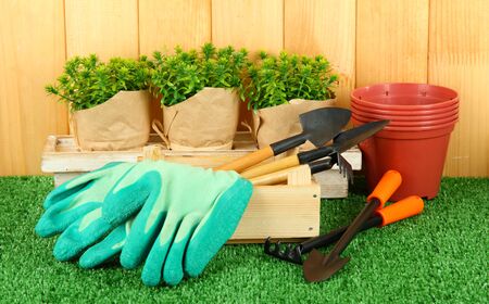 Garden tools on grass in yardの写真素材