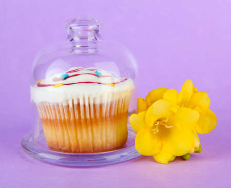 Cupcake on saucer with glass cover, on color background