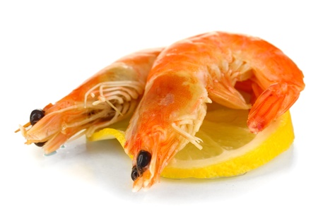 Shrimps isolated on whiteの写真素材