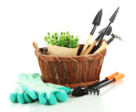 Garden tools isolated on whiteの写真素材