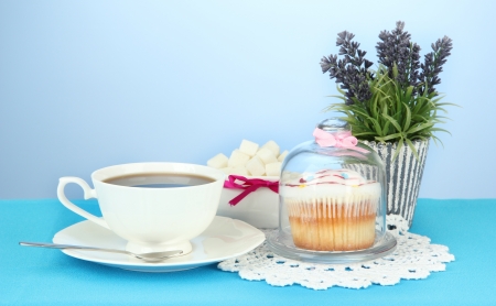 Cupcake on saucer with glass cover, on color backgroundの写真素材