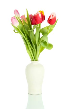 Beautiful tulips in bucket isolated on whiteの写真素材