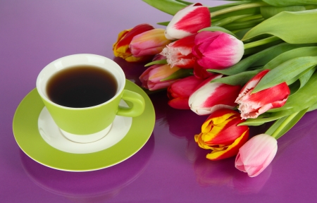 Beautiful tulips in bucket with cup of tea on purple backgroundの写真素材
