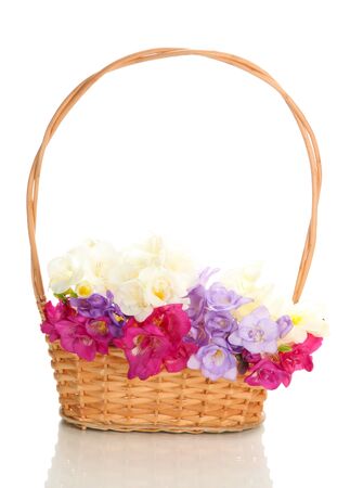 Beautiful bouquet of freesias in basket, isolated on whiteの写真素材