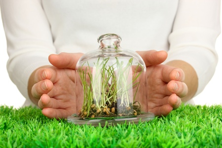 Hands protect grass under glass coverの写真素材