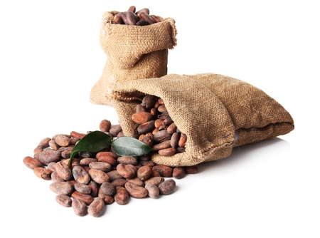 Cocoa beans in bags with leaves isolated on whiteの写真素材