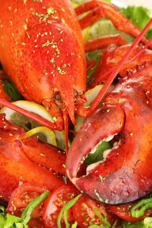 Red lobster on platter with vegetables close-upの写真素材
