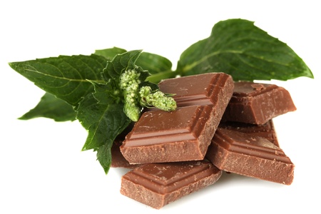 Pieces of chocolate and mint isolated on whiteの写真素材