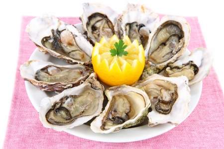 Oysters isolated on whiteの写真素材