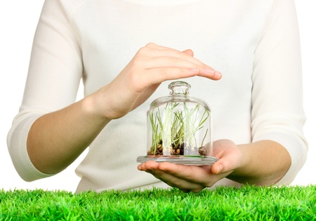 Hands protect grass under glass coverの写真素材
