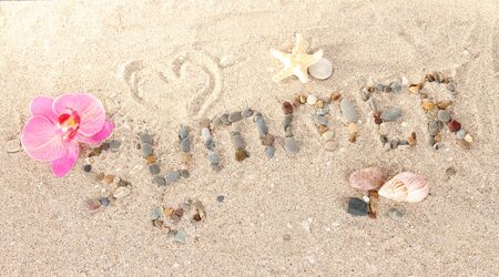 sea stones in the sandの写真素材