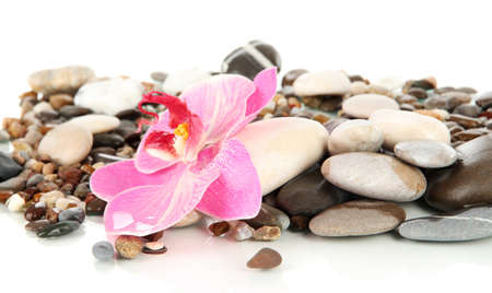 Sea stones isolated on whiteの写真素材