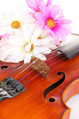 Classical violin with flowers close upの写真素材