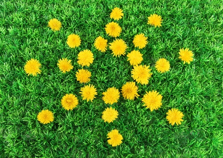 Sun of dandelions on grass close-upの写真素材