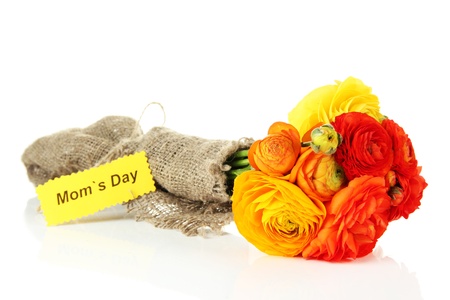 Ranunculus (persian buttercups) for mothers day, isolated on white
