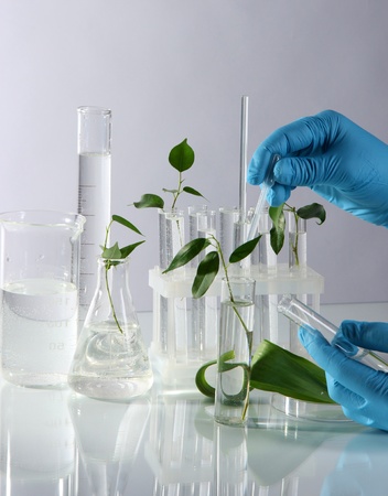 Test tubes with plant on light backgroundの写真素材