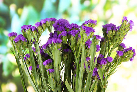 Flowers on a background of nature