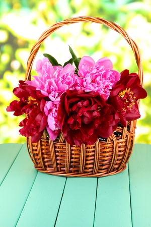 Beautiful peonies in wicker basket on table on bright backgroundの写真素材