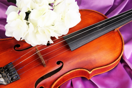 Classical violin on fabric backgroundの写真素材