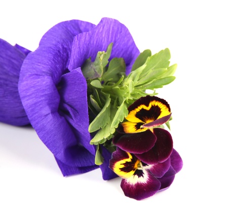 Beautiful pansies flowers isolated on whiteの写真素材
