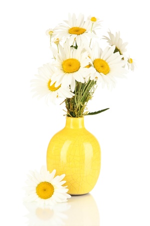 Beautiful bouquet chamomiles in vase isolated on whiteの写真素材