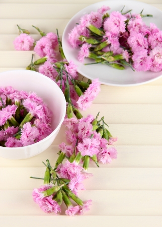 Many small pink cloves in cup and on saucer on wooden backgroundの写真素材