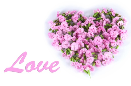 Flowers in the form of a heart isolated on whiteの写真素材