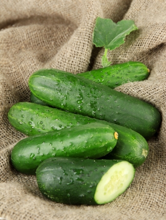 Tasty green cucumbers on sackcloth backgroundの写真素材