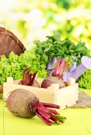 Young beets on wooden box on wooden table close-upの写真素材
