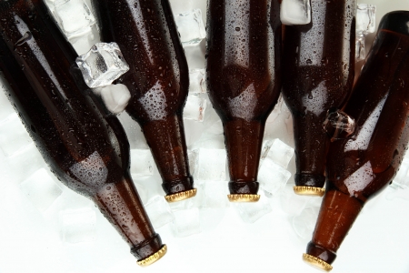 Beer bottles in ice cubes close upの写真素材